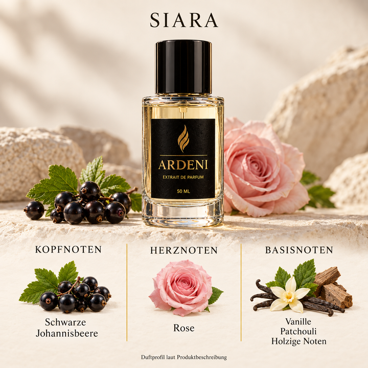 Duftnoten von ARDENI SIARA: Übersicht der Kopf-, Herz- und Basisnoten mit schwarzen Johannisbeeren, Rose, Vanille und Patchouli.